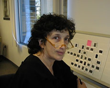 Picture of Sally Stein