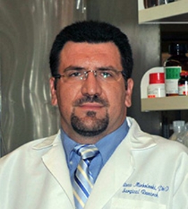 Picture of M Reza Mirbolooki